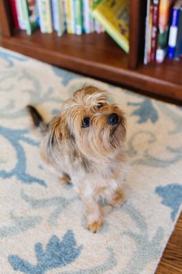 ZEROREZ GREENVILLE - Updated August 2024 - 35 Photos & 30 Reviews