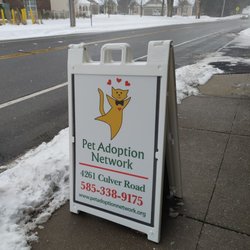 Pet Adoption Network