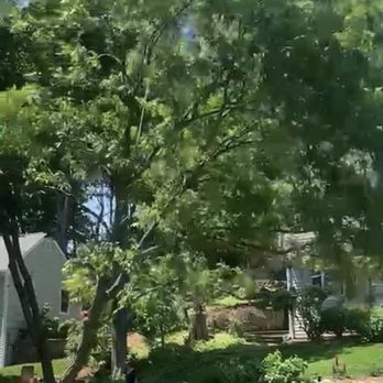 Sandoval Tree Service - Crane work - Tree Services Near Me - Norwalk, Connecticut Sandoval Tree Service - Crane work - Tree Services Near Me - Norwalk, Connecticut