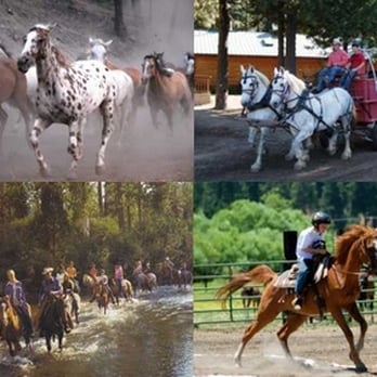 Greenhorn Ranch - Horseback Riding Near Me - Quincy, California Greenhorn Ranch - Horseback Riding Near Me - Quincy, California