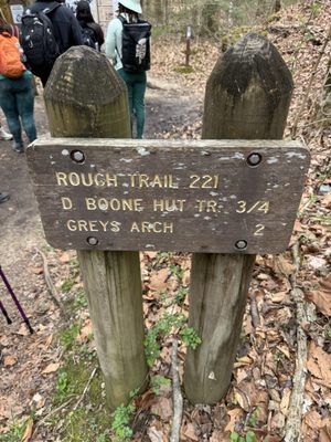 Daniel Boone National Forest by null