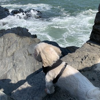 Cliff Walk - Parks Near Me - Newport, Rhode Island Cliff Walk - Parks Near Me - Newport, Rhode Island
