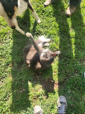 Blossom Peak Ranch by null