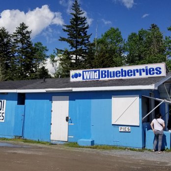 McKay's Wild Blueberries - two people standing outside of a blue building - Fruits & Veggies Near Me - Pennfield, New Brunswick McKay's Wild Blueberries - two people standing outside of a blue building - Fruits & Veggies Near Me - Pennfield, New Brunswick
