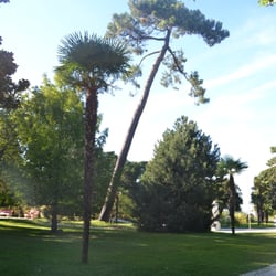 Parc Mauresque - Parc Mauresque