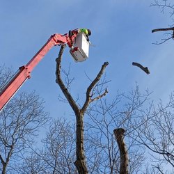 Finger Lakes Forest Management & Timber Harvesting
