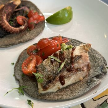 Holbox - Wood Grilled Kanpachi Taco - Latin American Near Me - Los Angeles, California Holbox - Wood Grilled Kanpachi Taco - Latin American Near Me - Los Angeles, California