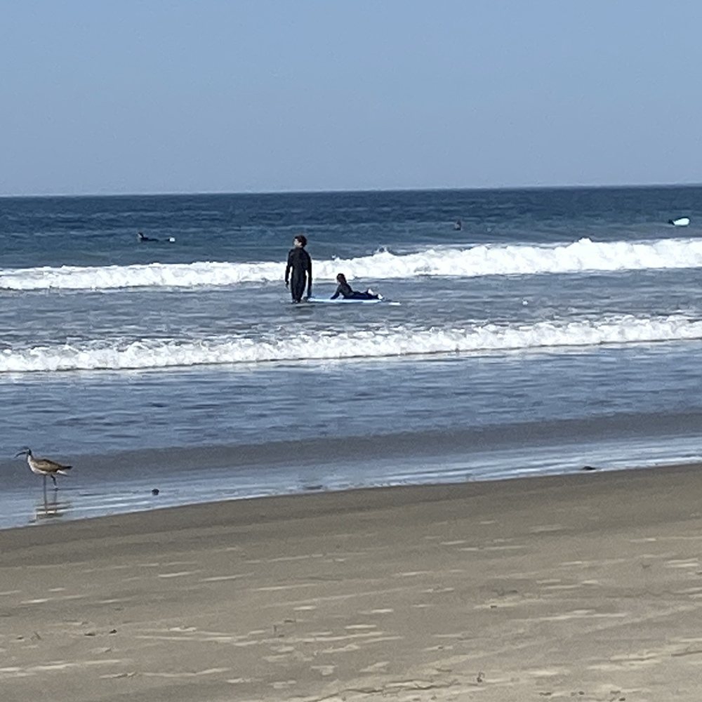 Encinitas Surf Lessons - Surf Schools Near Me Encinitas Surf Lessons - Surf Schools Near Me