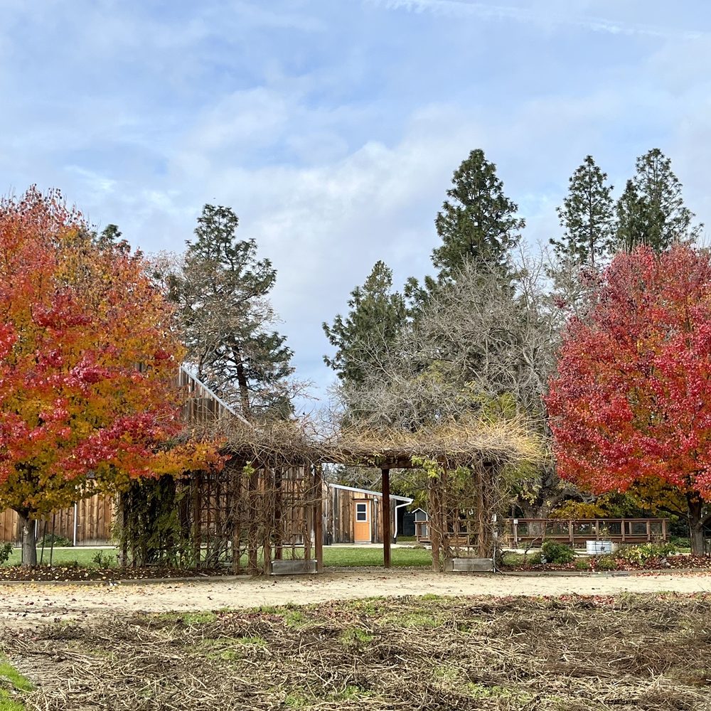 Pheasant Fields Farm - Perfect arbor for a special ceremony - Farms Near Me - Medford, Oregon Pheasant Fields Farm - Perfect arbor for a special ceremony - Farms Near Me - Medford, Oregon