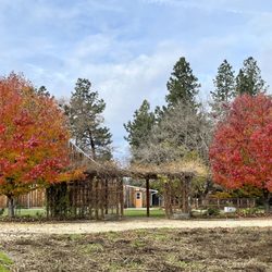 Pheasant Fields Farm - Perfect arbor for a special ceremony