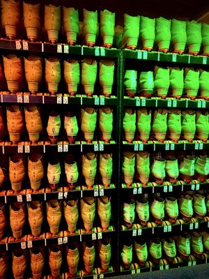 Moonlight Rollerway by null