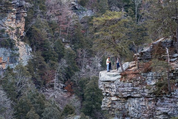 Fall Creek Falls by null