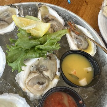 Waterfront - Oysters amazing - Seafood Near Me - Camden, Maine
