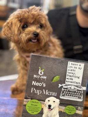 Blu Jam Cafe by null