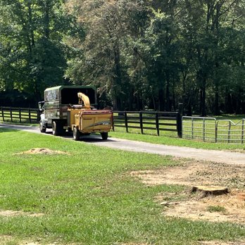 Spiders Tree Care Service - Tree Services Near Me