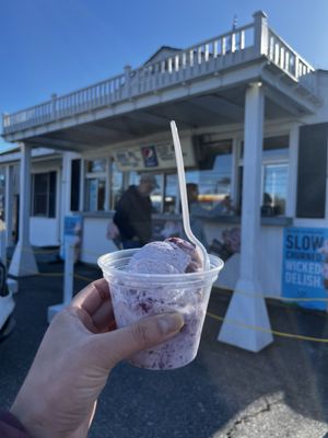 Blueberry Hill Dairy Bar by null