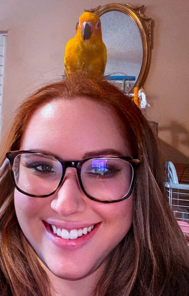 Brenda's Birds Image
