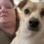 Photo of Paws & Rec