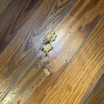 Anna Maria Island Accommodations - Bugs and dirt! - Vacation Rentals Near Me - Holmes Beach, Florida