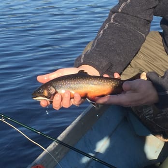 Moose Mountain Inn - Fishing remote trout pond behind the Moose Mountain Inn. - Hotels Near Me - Greenville, Maine