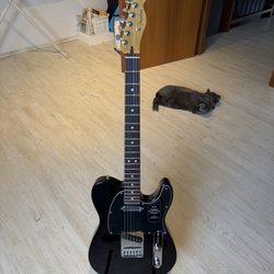 Rock Shop - Fender Telecaster Player II Modified. Cat is cool with this one!