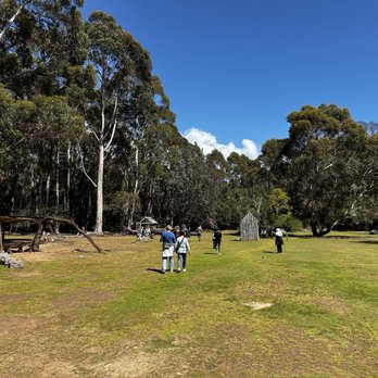 Tasmanian Devil Unzoo - Inside the park, walking towards the kangaroos - Zoos Near Me - Taranna, TAS