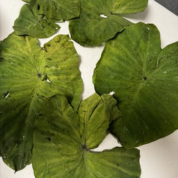 Sunrise Asian Food Market - Larger pieces of taro leaves that are wilted,  yellow, ripped, broken, have holes and some brown spots. - Imported Food Near Me - Eugene, Oregon