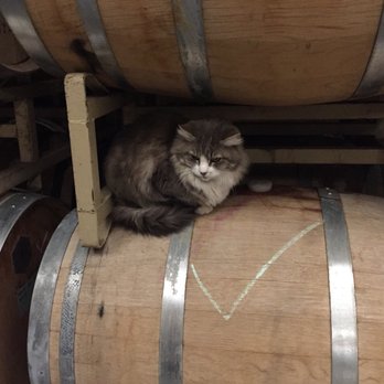 Two Mountain Winery - Wineries Near Me - Zillah, Washington Two Mountain Winery - Wineries Near Me - Zillah, Washington