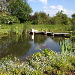 The Garden Design Company - Wasteland to Wonderland