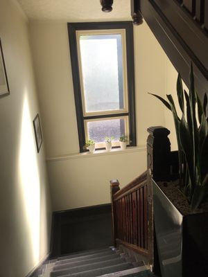 Mercantile Hotel by null