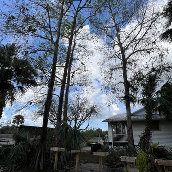 Vasquez Tree Service - Tree Services Near Me - Naples, Florida Vasquez Tree Service - Tree Services Near Me - Naples, Florida