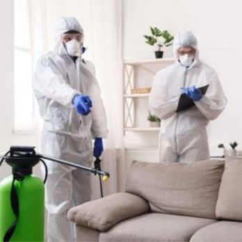 KleanT - Home Cleaning Near Me KleanT - Home Cleaning Near Me