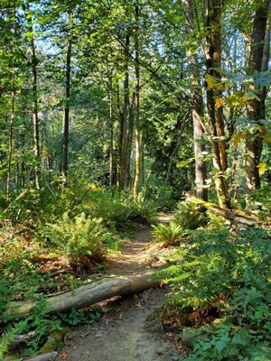 Carkeek Park by null
