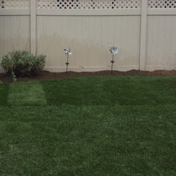 Newly sodded side yard. Covered an old garden area. They were quick and did a great job. Newly sodded side yard. Covered an old garden area. They were quick and did a great job.