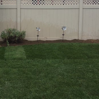 Island Greenery Masonry & Landscape - Newly sodded side yard. Covered an old garden area. They were quick and did a great job. - Nurseries & Gardening Near Me - Bellmore, New York Island Greenery Masonry & Landscape - Newly sodded side yard. Covered an old garden area. They were quick and did a great job. - Nurseries & Gardening Near Me - Bellmore, New York