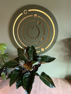 Grounded: Plant Shop, Cafe, & Wellness Studio by null