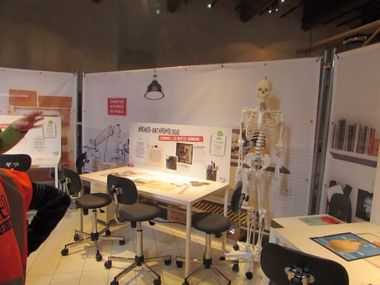 Musée Saint-Raymond by null