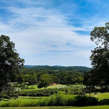 Arrington Vineyards - Wine Tasting Room Near Me - Arrington, Tennessee