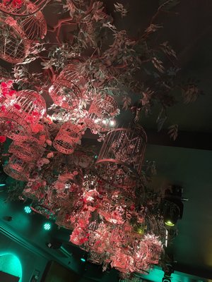 Rosebar Lounge by null