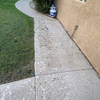 Truly Nolen Pest & Termite Control - Pest Control Near Me - Tempe, Arizona