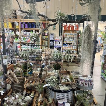 Sloat Garden Center - Air plants - Nurseries & Gardening Near Me - Pleasant Hill, California Sloat Garden Center - Air plants - Nurseries & Gardening Near Me - Pleasant Hill, California