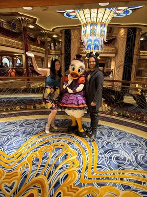 Disney Dream by null