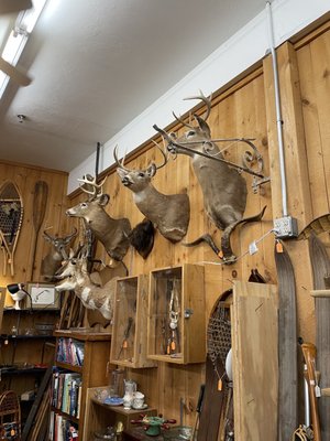 Vermont Antique Mall by null