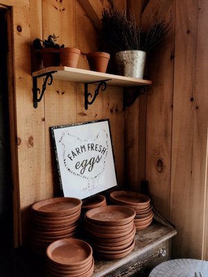 Beach Plum Farm by null