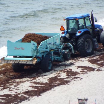 Hollywood Beach - One Truck for all of Hollywood Beach - Beaches Near Me - Hollywood, Florida