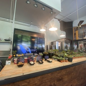 Seattle Dumpling - Chinese Near Me - Seattle, Washington