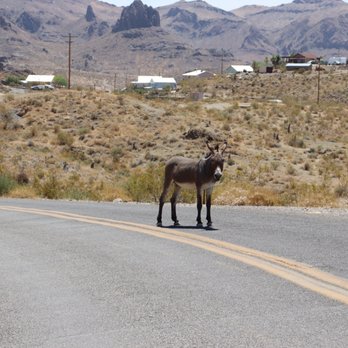 Town of Oatman - Local Flavor Near Me
