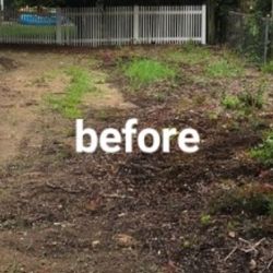 AZ Landscaping And Property Maintenance - Before artificial turf installation