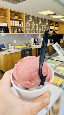 Mashti Malone's Ice Cream by null