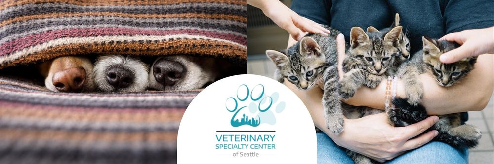 VETERINARY SPECIALTY CENTER OF SEATTLE - Updated October 2025 - 71